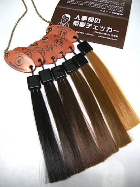 髪型の確認用 レベルスケール-ヘアカラーの基準チェック【毛束屋】ヘアカラーテスト