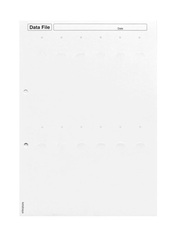 画像2: テストヘアーファイル　シート＋毛束　 (2)