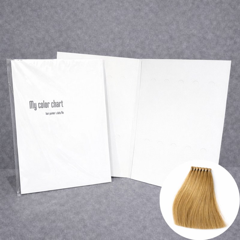画像1: カラー評価・検証用 ヘアカラーチャート台紙＋毛束(20本) (1)