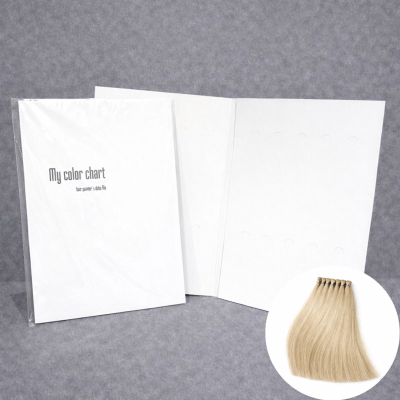画像1: カラー評価・検証用 ヘアカラーチャート台紙＋毛束(20本) (1)
