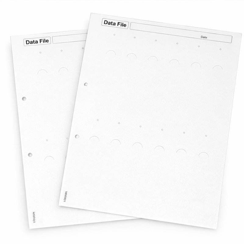 画像1: テストヘアーファイルシート2枚セット (1)