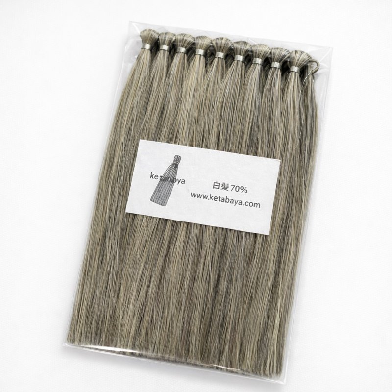 画像1: 白髪染め検証用 人毛毛束 (1)