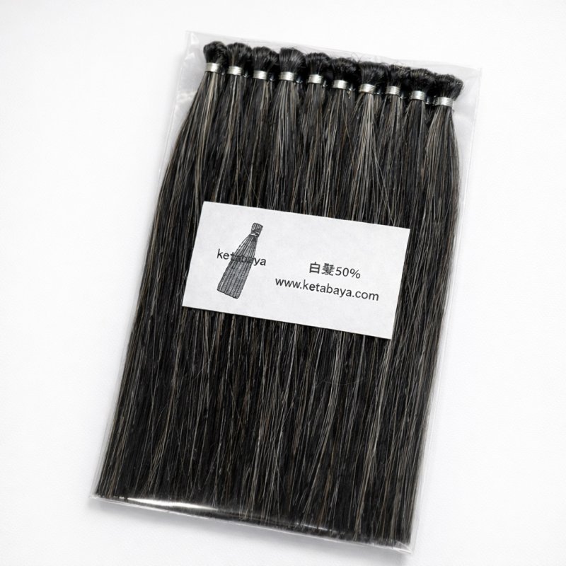 画像1: 白髪染め検証用 人毛毛束 (1)