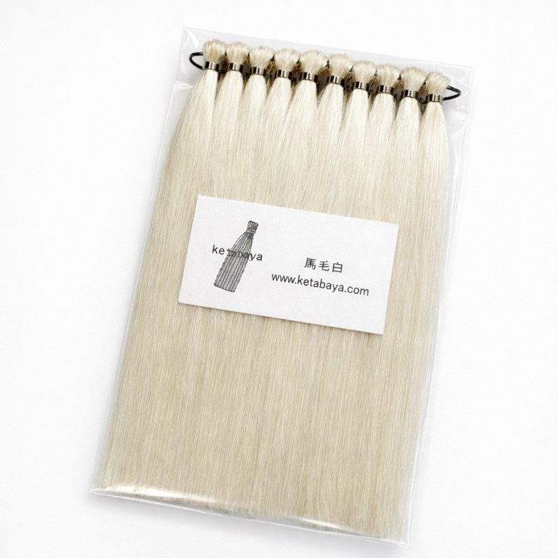 画像1: カラー評価・検証向け 馬毛毛束 (1)